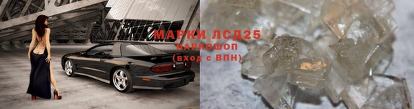 мяу мяу мука Армянск