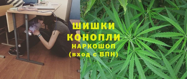 Альфа ПВП Бородино