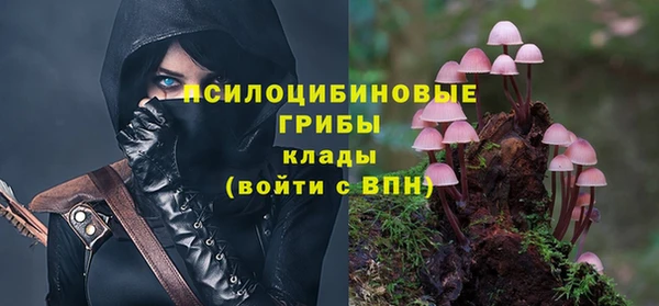 Альфа ПВП Бородино